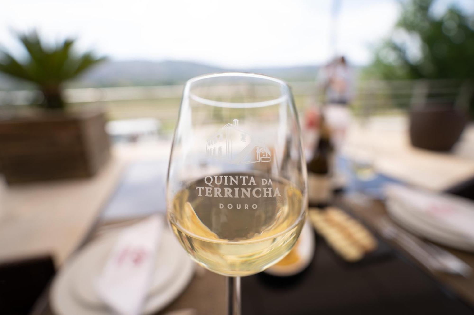 Quinta Da Terrincha Vendégház Torre De Moncorvo Kültér fotó