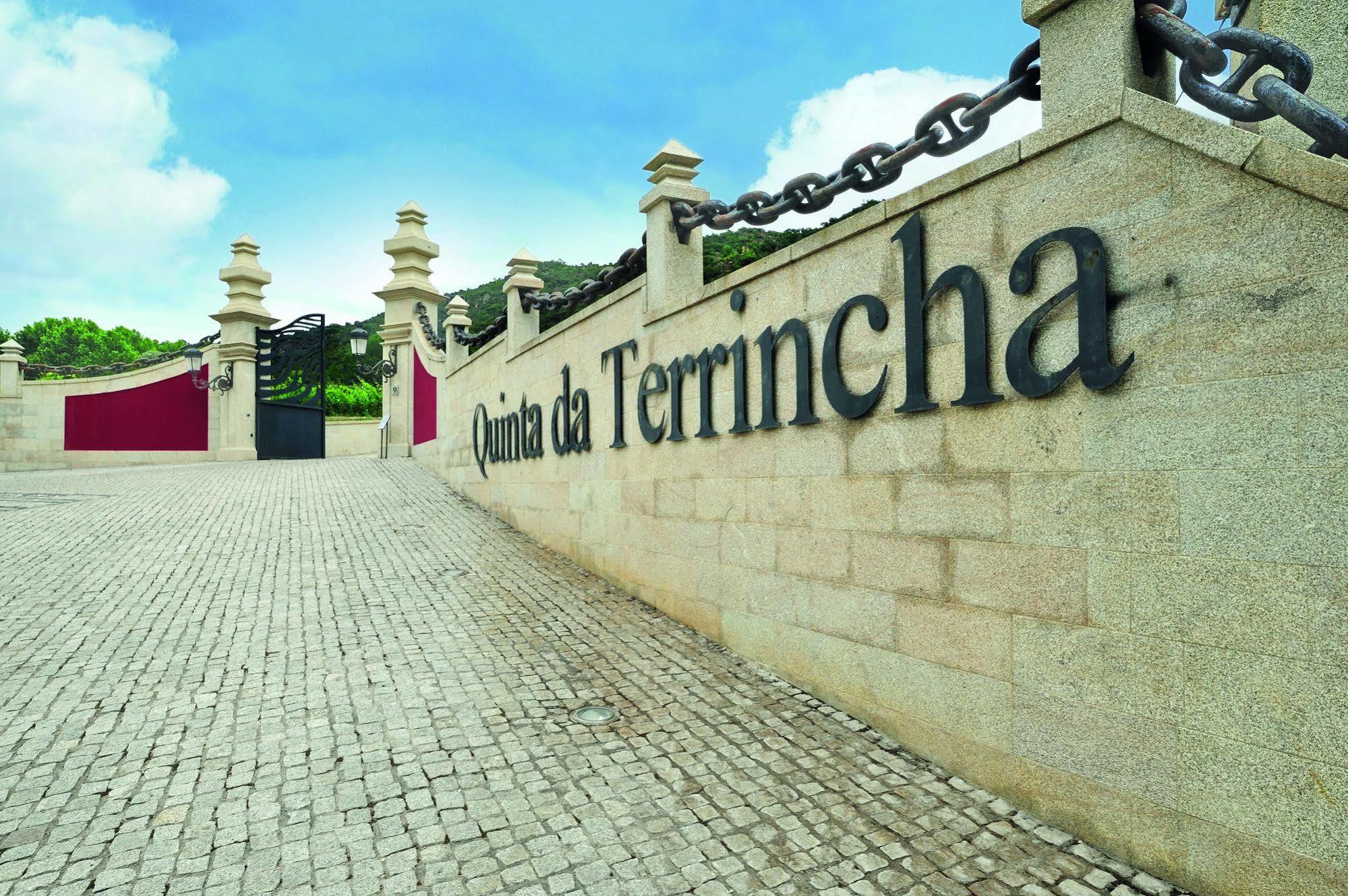Quinta Da Terrincha Vendégház Torre De Moncorvo Kültér fotó